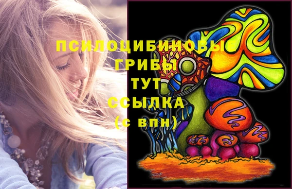 героин Алексин