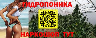 мдма Дубна