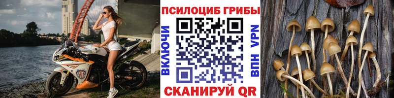 Галлюциногенные грибы мицелий  как найти   блэк спрут сайт  Нарткала 
