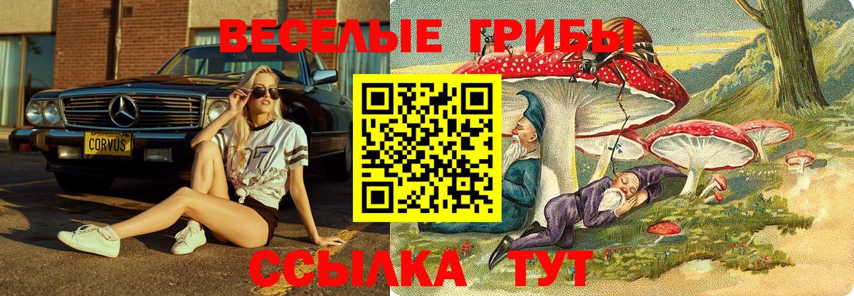 Нарткала  Псилоцибиновые грибы ЛСД  Псилоцибиновые грибы MAGIC MUSHROOMS  как найти закладки  Вход с VPN 