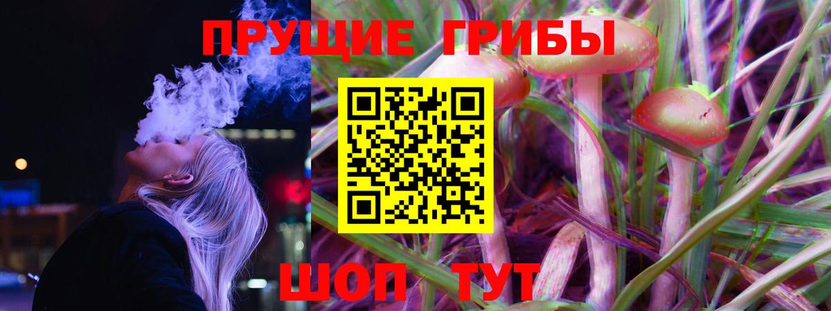 Псилоцибиновые грибы прущие грибы Нарткала